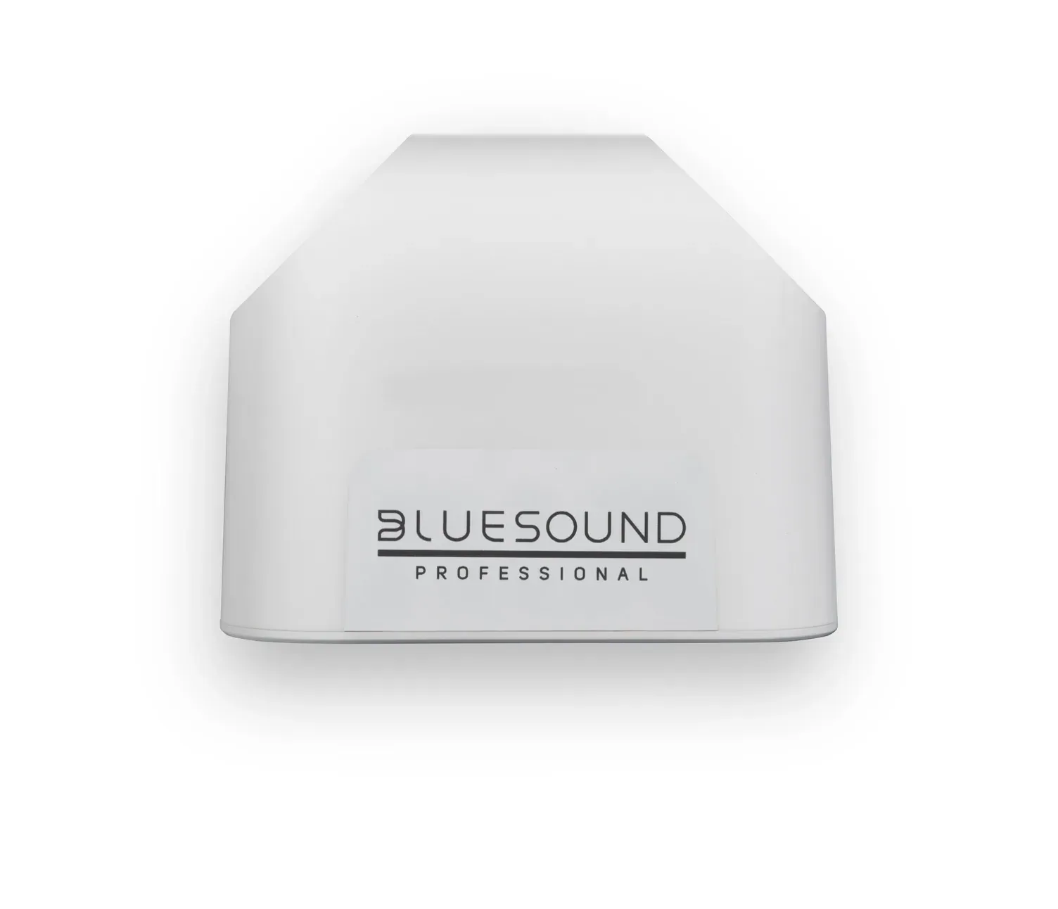 Weißer Bluesound-Professional-Lautsprecher
