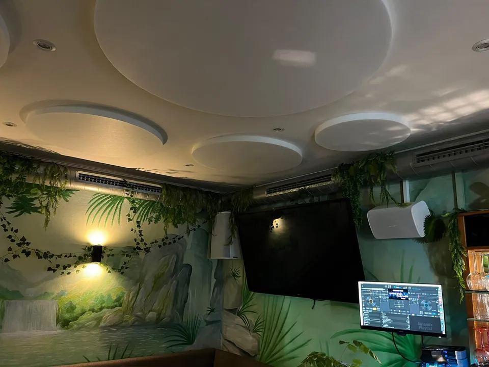 Akustikdecke über dem Barbereich mit Fernseher und Wandlautsprecher